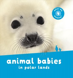 Animal babies in polar lands. Cover Image