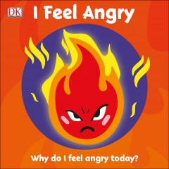 I feel angry : why do I feel angry today?  Cover Image