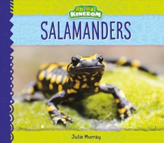 Salamanders  Cover Image