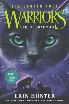 Veil of shadows  Cover Image