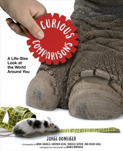 Curious comparisons : a life-size look at the world around you  Cover Image