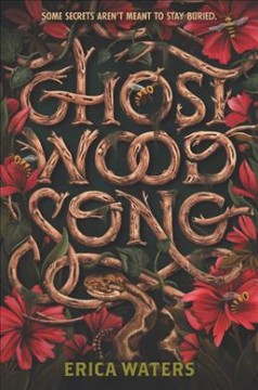 Ghost wood song  Cover Image