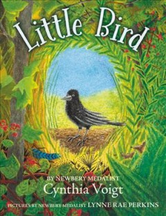 Little bird  Cover Image