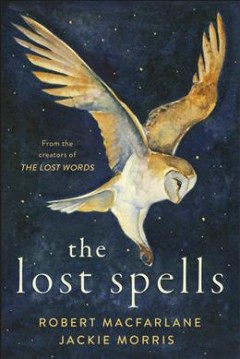 The lost spells  Cover Image