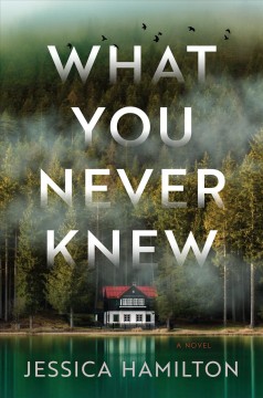 What you never knew : a novel  Cover Image