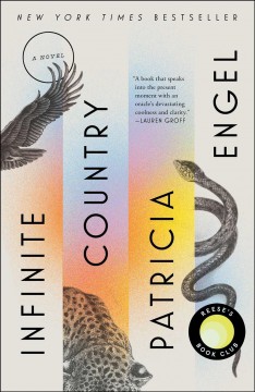 Infinite country : a novel  Cover Image