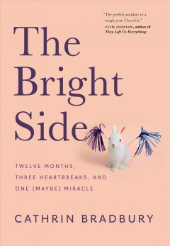 The bright side : twelve months, three heartbreaks and one (maybe) miracle  Cover Image