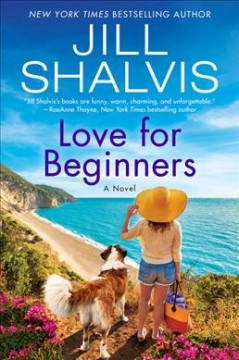 Love for beginners : a novel  Cover Image
