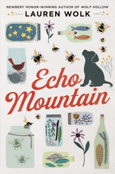 Echo Mountain  Cover Image