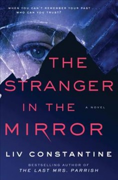 The stranger in the mirror : a novel  Cover Image