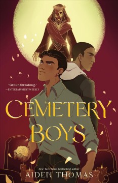 Cemetery boys  Cover Image