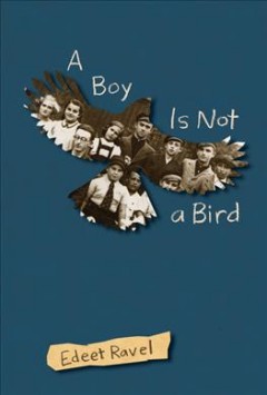 A boy is not a bird  Cover Image