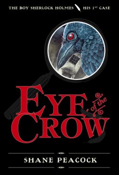 Eye of the crow  Cover Image