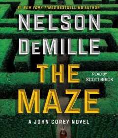 The maze Cover Image
