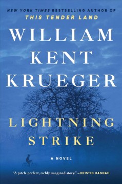 Lightning strike : a novel  Cover Image