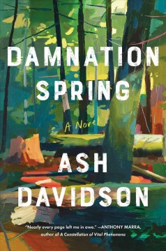 Damnation Spring : a novel  Cover Image