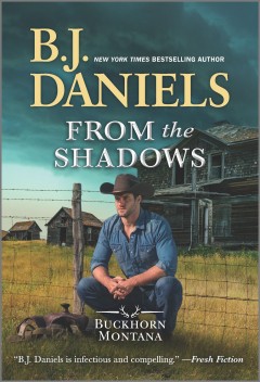 From the shadows  Cover Image