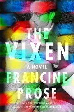 The vixen : a novel  Cover Image