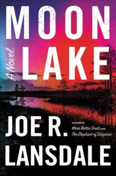 Moon Lake : an East Texas gothic  Cover Image