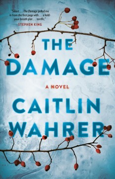 The damage  Cover Image