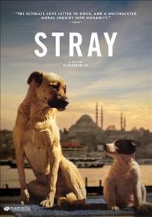 Stray Cover Image