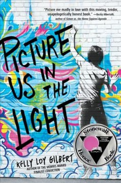 Picture us in the light  Cover Image
