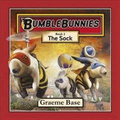 Sock  Cover Image