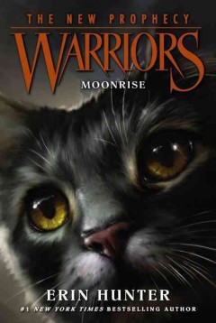 Moonrise  Cover Image