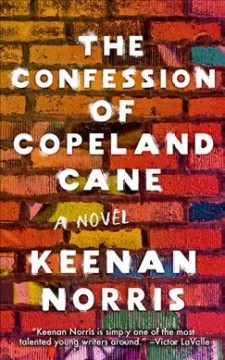 The confession of Copeland Cane : a novel  Cover Image