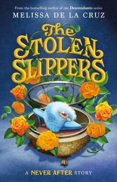 The stolen slippers  Cover Image