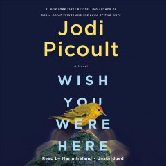 Wish you were here a novel  Cover Image