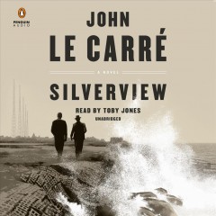 Silverview Cover Image