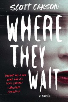 Where they wait : a novel  Cover Image