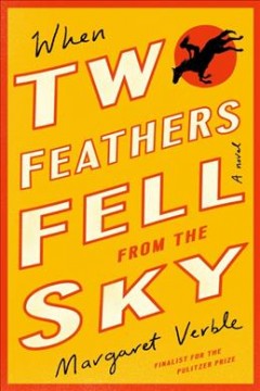 When Two Feathers fell from the sky  Cover Image