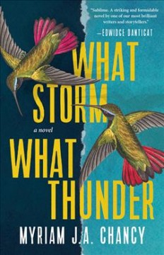 What storm, what thunder  Cover Image