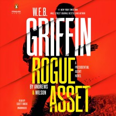 Rogue asset Cover Image