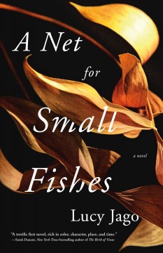 A net for small fishes  Cover Image