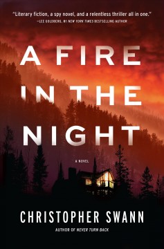 A fire in the night : a novel  Cover Image