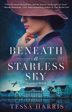 Beneath a starless sky  Cover Image