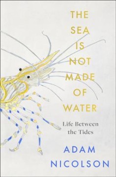 The sea is not made of water : life between the tides  Cover Image