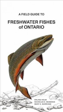 A field guide to freshwater fishes of Ontario  Cover Image