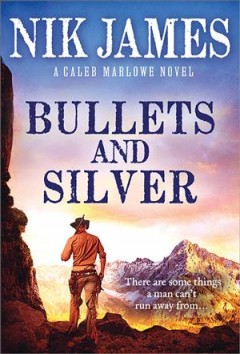 Bullets and silver  Cover Image