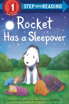 Rocket has a sleepover  Cover Image