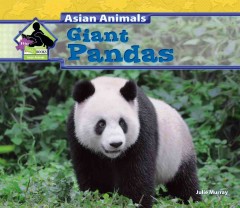 Giant pandas  Cover Image