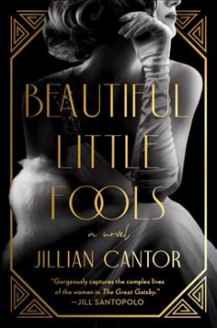 Beautiful little fools : a novel  Cover Image