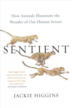 Sentient : how animals illuminate the wonder of our human senses  Cover Image