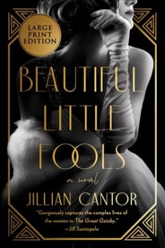 Beautiful little fools a novel  Cover Image