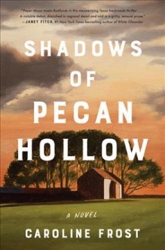 Shadows of Pecan Hollow : a novel  Cover Image
