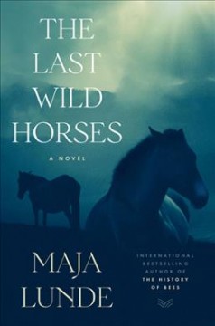 The last wild horses : a novel  Cover Image