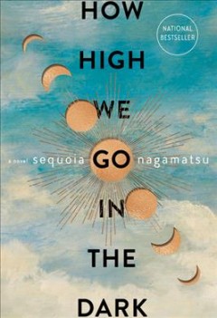 How high we go in the dark : a novel  Cover Image